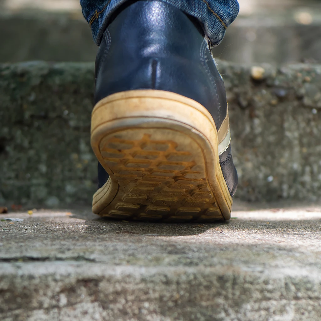 back view of a shoe